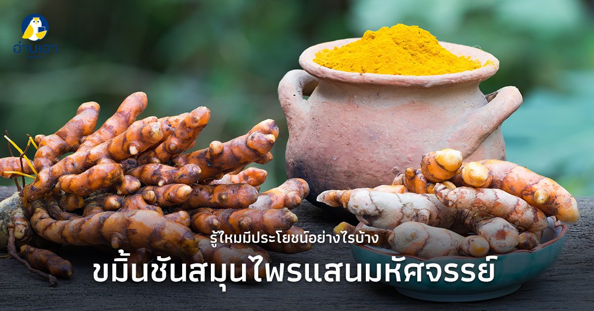 รู้ไหมมีประโยชน์อย่างไรบ้าง? ขมิ้นชัน สมุนไพรแสนมหัศจรรย์