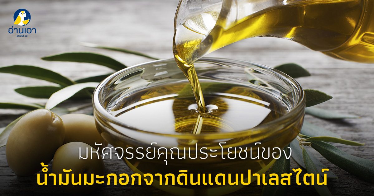 มหัศจรรย์คุณประโยชน์ของน้ำมันมะกอกจากดินแดนปาเลสไตน์