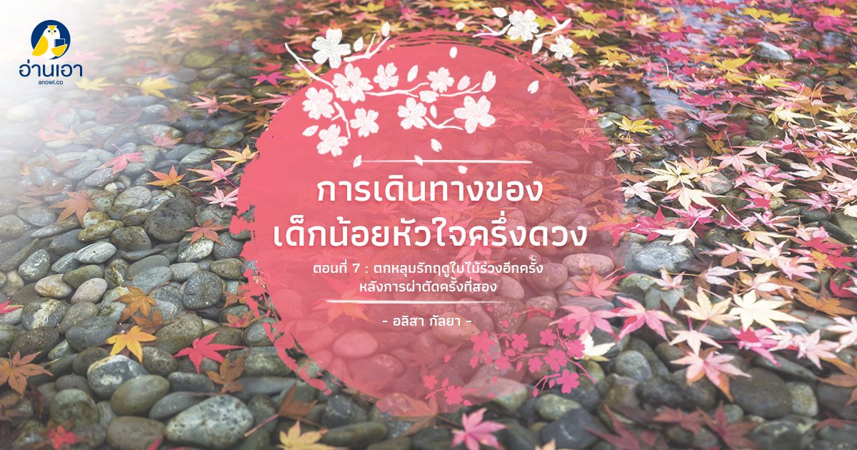 การเดินทางของเด็กน้อยหัวใจครึ่งดวง ตอนที่ 7 : ตกหลุมรักฤดูใบไม้ร่วงอีกครั้งหลังการผ่าตัดครั้งที่สอง