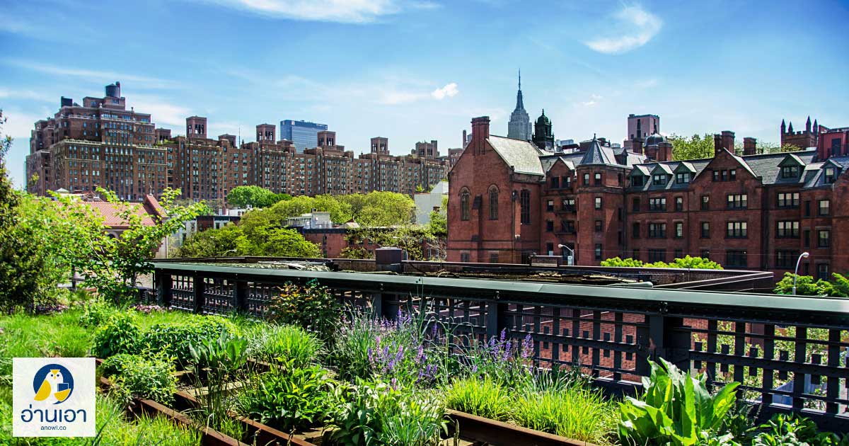 The High Line สวน-สาย-สูง กลางมหานครนิวยอร์ก