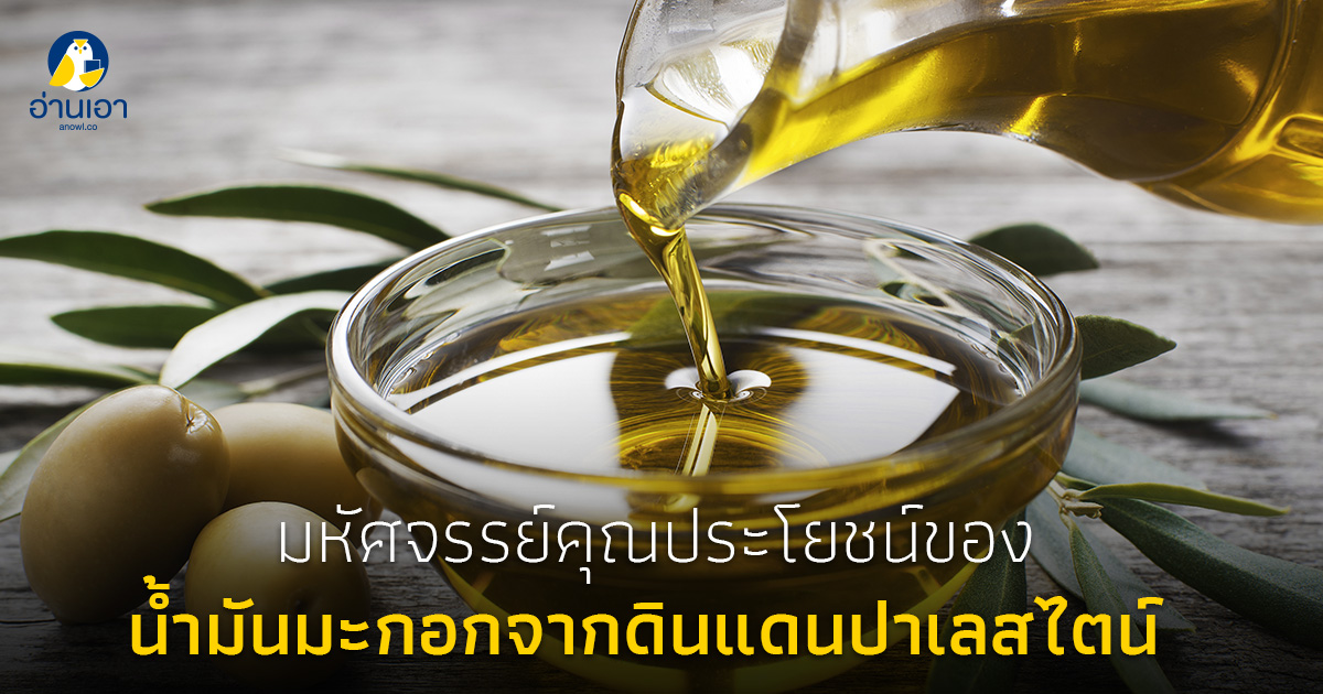 มหัศจรรย์คุณประโยชน์ของน้ำมันมะกอกจากดินแดนปาเลสไตน์