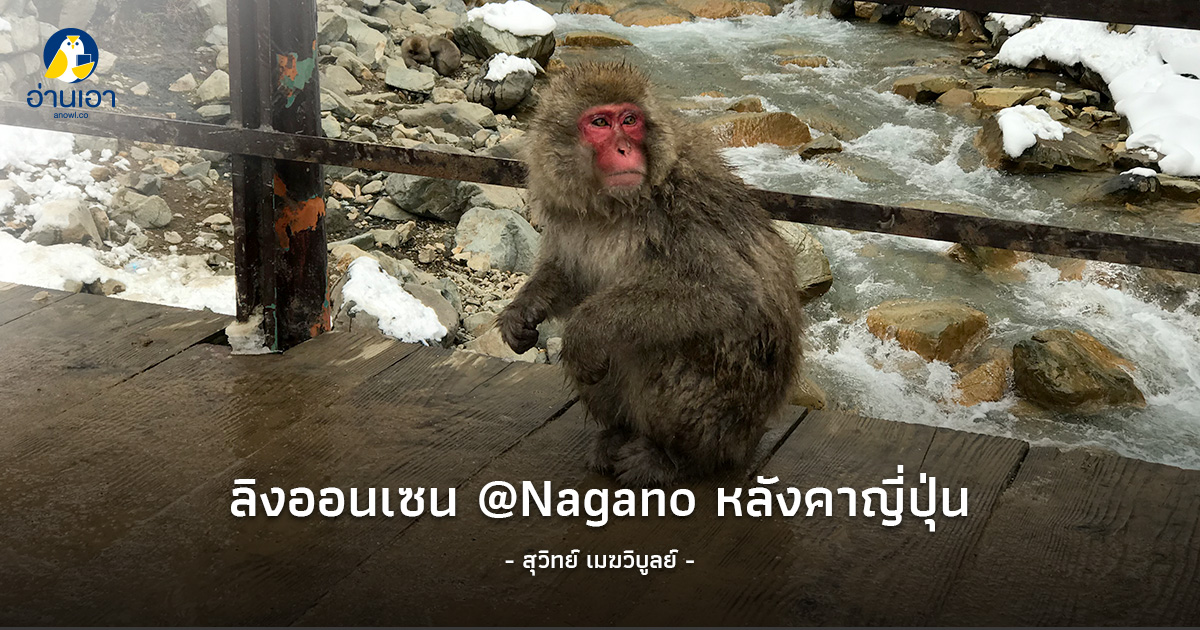 ลิงออนเซ็น@ Nagano หลังคาแห่งญี่ปุ่น