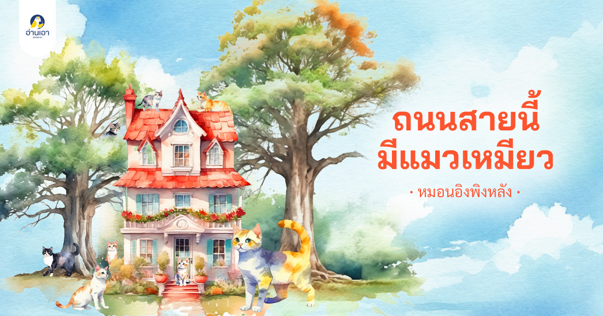 ถนนสายนี้มีแมวเหมียว บทที่ 2 : ฝันประหลาด (1)